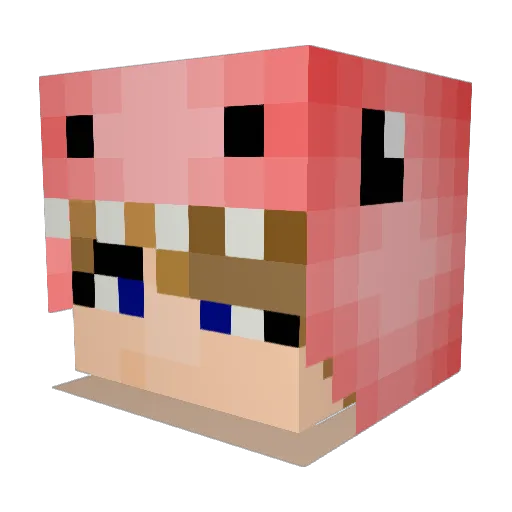 FluffyPanda21 Minecraft avatar head, 3D render