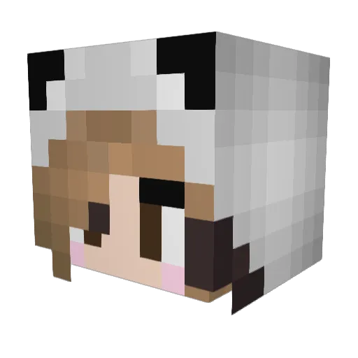 FluffyPandas559 Minecraft avatar head, 3D render