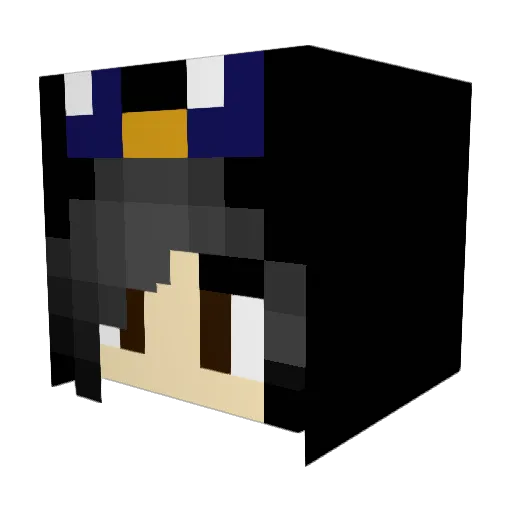 FluffyPenguin58 Minecraft avatar head, 3D render