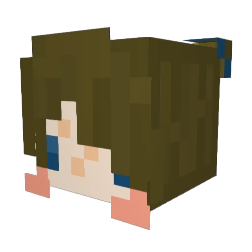 FluffyPickles909 Minecraft avatar head, 3D render