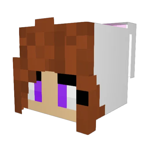 FluffyPuffs Minecraft avatar head, 3D render