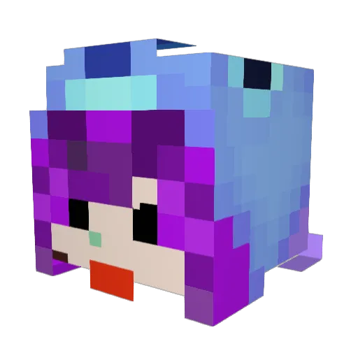 FluffyPuffy420 Minecraft avatar head, 3D render
