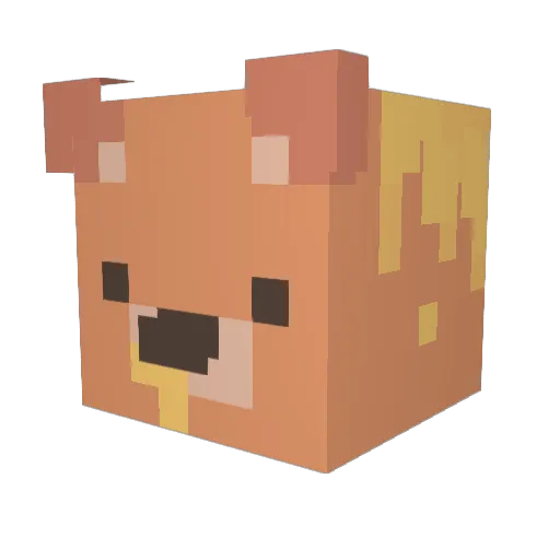 FluffyRangler Minecraft avatar head, 3D render