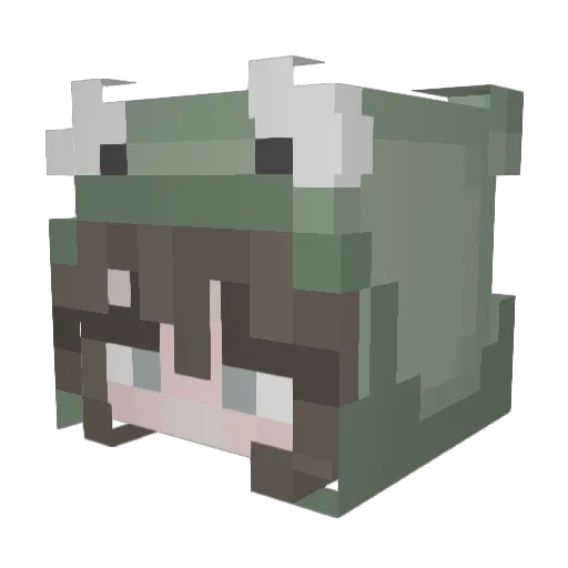 FluffyRaptor030 Minecraft avatar head, 3D render