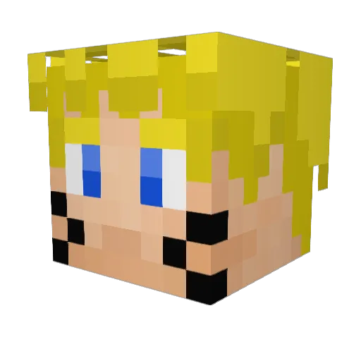 FluffyRevolver Minecraft avatar head, 3D render