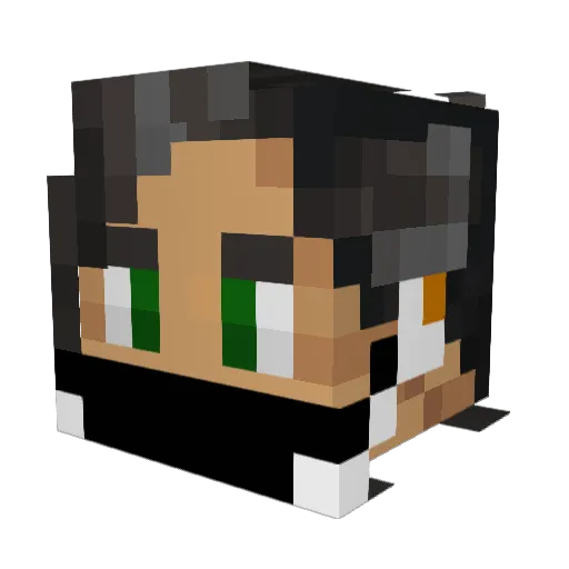 FluffyRules Minecraft avatar head, 3D render