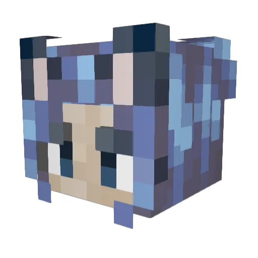 FluffySapphire Minecraft avatar head, 3D render
