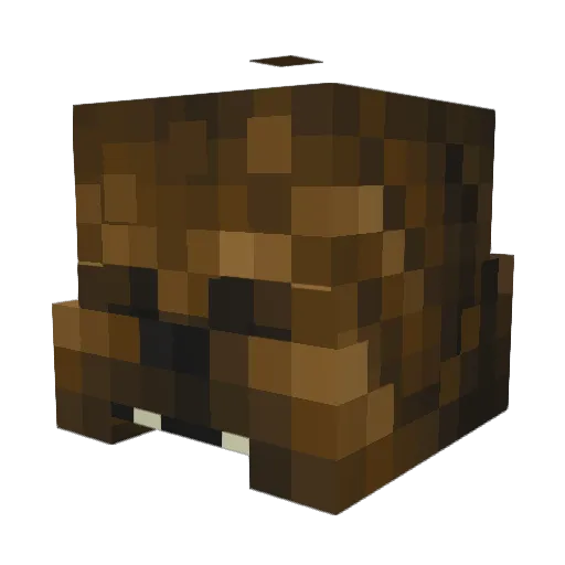 FluffySeabas Minecraft avatar head, 3D render