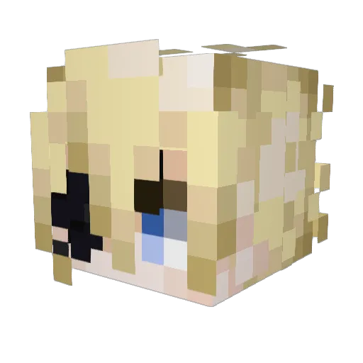 FluffySheep291 Minecraft avatar head, 3D render