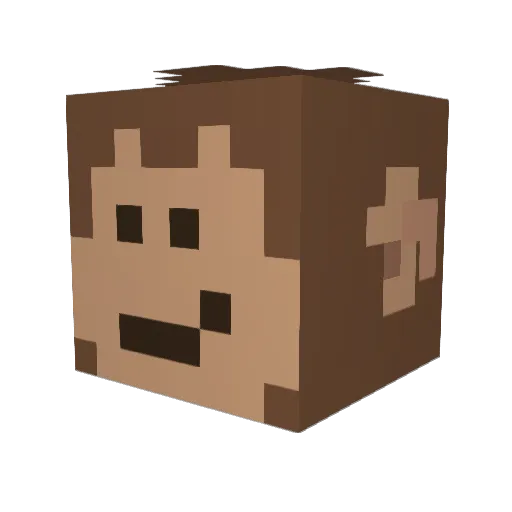 FluffyShroom420 Minecraft avatar head, 3D render