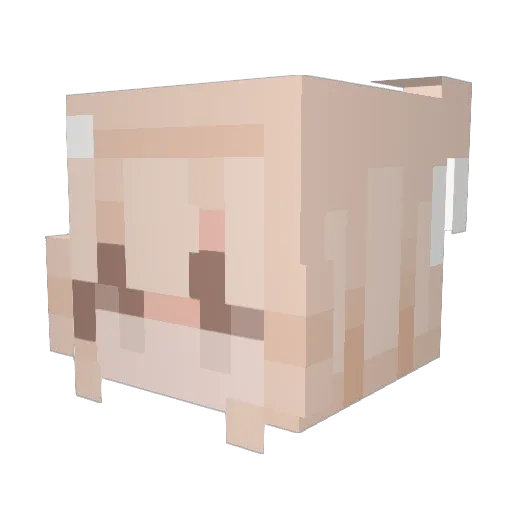 FluffySlime12 Minecraft avatar head, 3D render