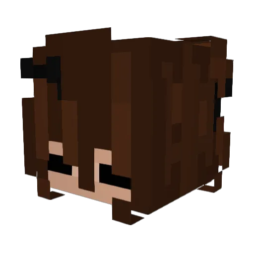 FluffySquid_ Minecraft avatar head, 3D render