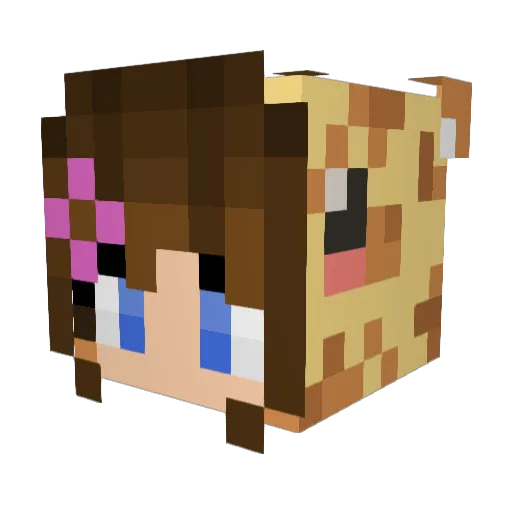 FluffySuperKoala Minecraft avatar head, 3D render