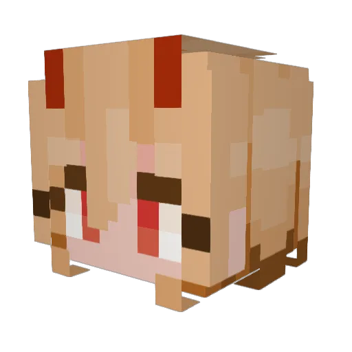 FluffyToast420 Minecraft avatar head, 3D render