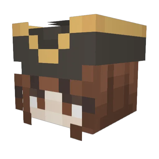 FluffyTurbo Minecraft avatar head, 3D render