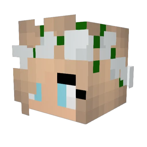 FluffyUnicorm Minecraft avatar head, 3D render