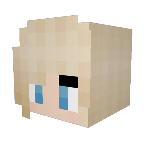 FluffyWaffle3 Minecraft avatar head, 3D render