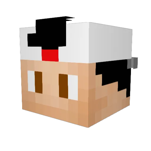 Fluffy_808 Minecraft avatar head, 3D render