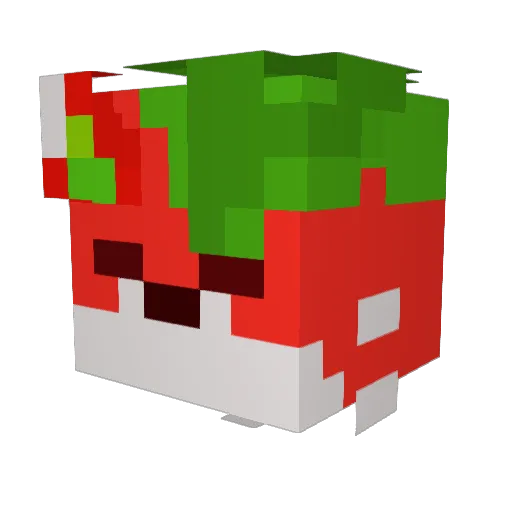 Fluffy_Chris Minecraft avatar head, 3D render