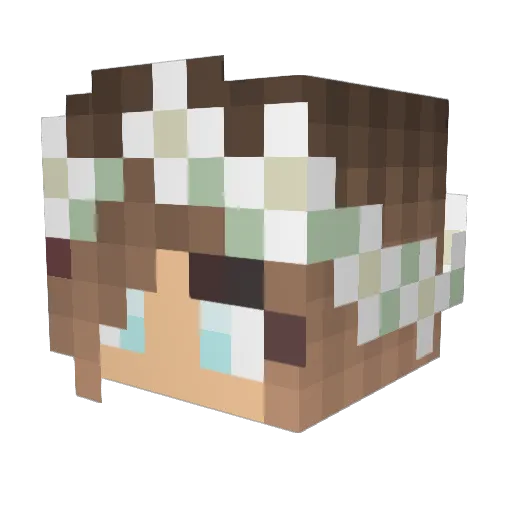 Fluffy_Kat Minecraft avatar head, 3D render