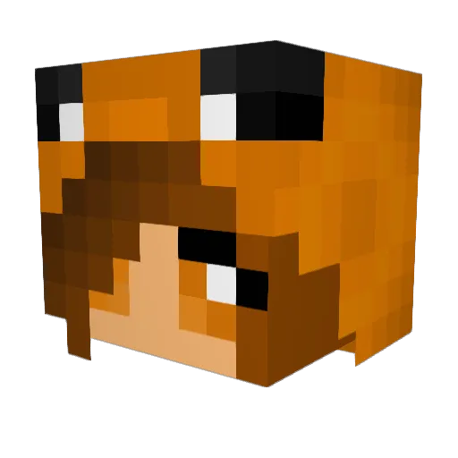 Fluffy_Katz Minecraft avatar head, 3D render