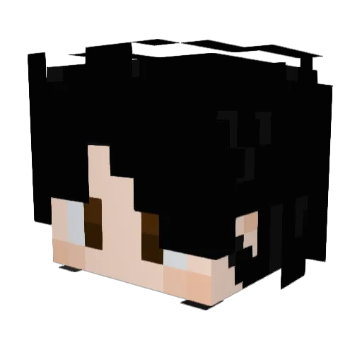 Fluffy_Kookie Minecraft avatar head, 3D render