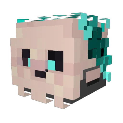 Fluffy_Nicoo__ Minecraft avatar head, 3D render