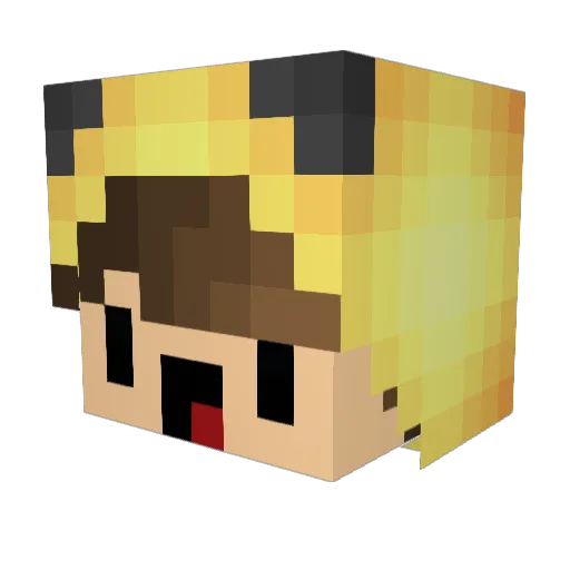 Fluffy_Pancakes2 Minecraft avatar head, 3D render