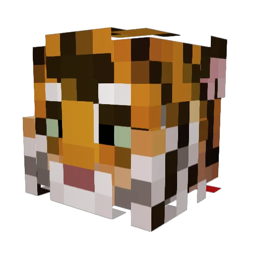 Fluffy_Tigre Minecraft avatar head, 3D render