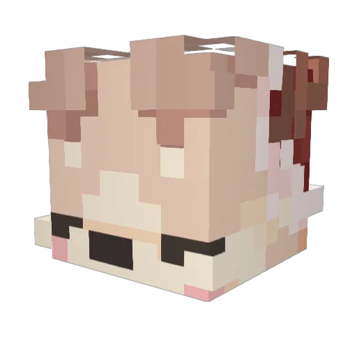 Fluffy_k Minecraft avatar head, 3D render