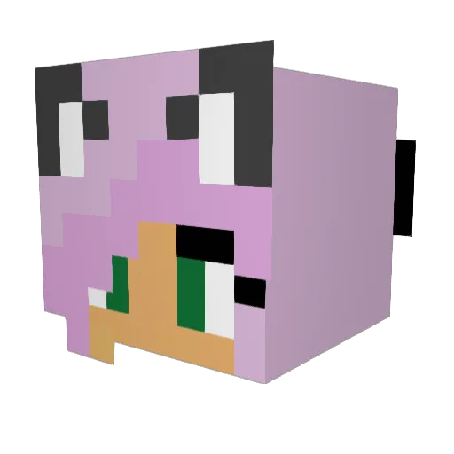 Fluffybotton Minecraft avatar head, 3D render