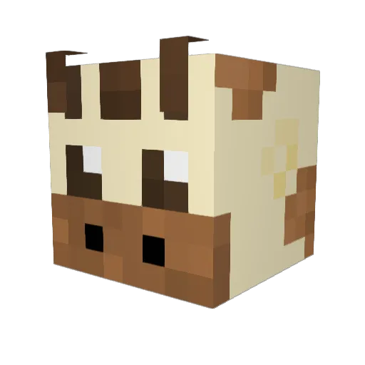 Fluffybunny6428 Minecraft avatar head, 3D render
