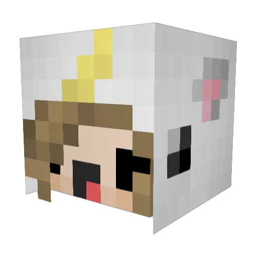 Fluffyfishie Minecraft avatar head, 3D render
