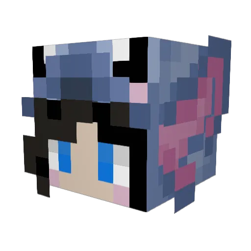 Fluffygod101 Minecraft avatar head, 3D render