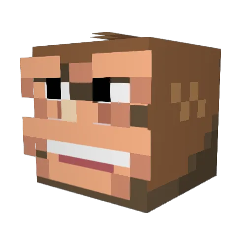 Fluffymcnugg Minecraft avatar head, 3D render