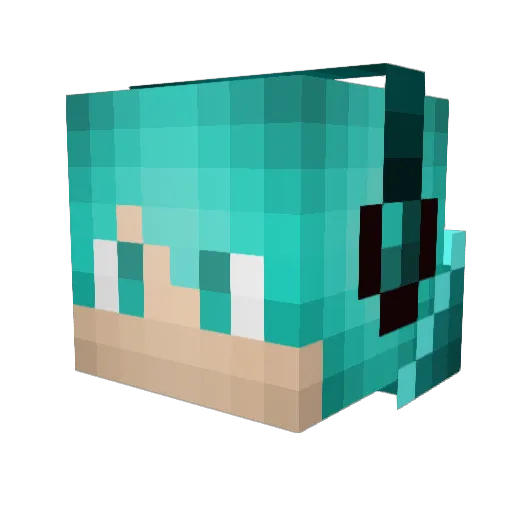 Fluffyninja446 Minecraft avatar head, 3D render