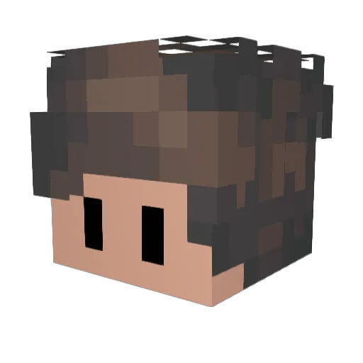 Fluffyturtle1 Minecraft avatar head, 3D render