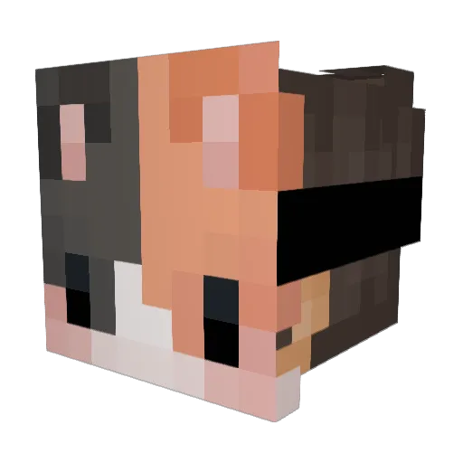 Flufis_UwU Minecraft avatar head, 3D render