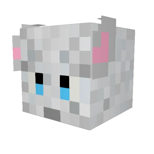 FluidGrace Minecraft avatar head, 3D render