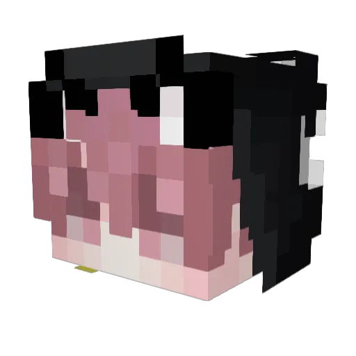 FluiddUwU Minecraft avatar head, 3D render