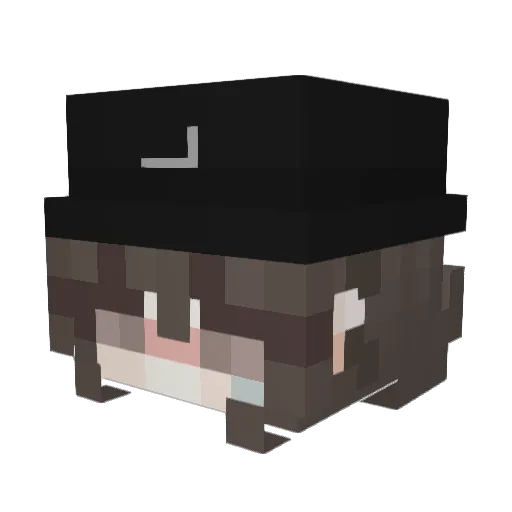 Fluin001 Minecraft avatar head, 3D render