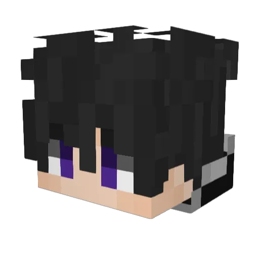 Fluixon Minecraft avatar head, 3D render