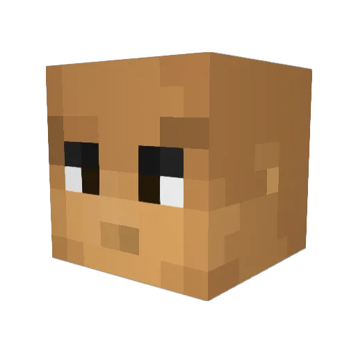 Flukser30 Minecraft avatar head, 3D render