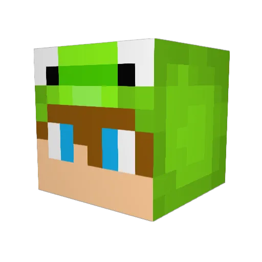 Flumpstain Minecraft avatar head, 3D render