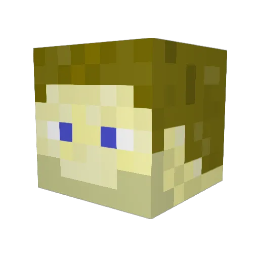 FlurryofBullets Minecraft avatar head, 3D render