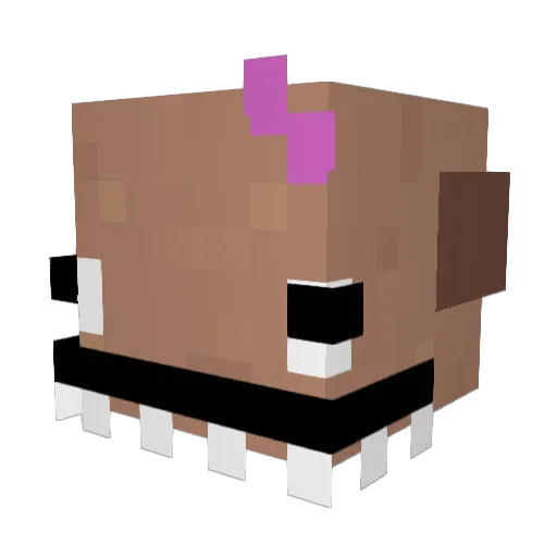 Fluscheel Minecraft avatar head, 3D render