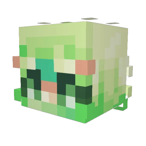 FlushDesert22 Minecraft avatar head, 3D render