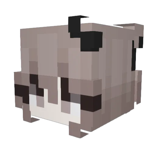 Flusica Minecraft avatar head, 3D render
