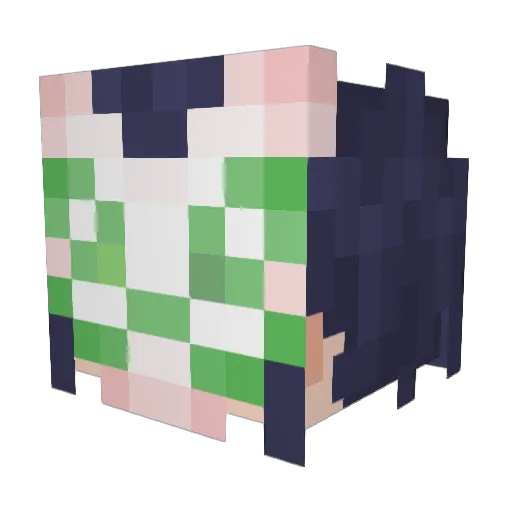 Flutter0Gamer Minecraft avatar head, 3D render