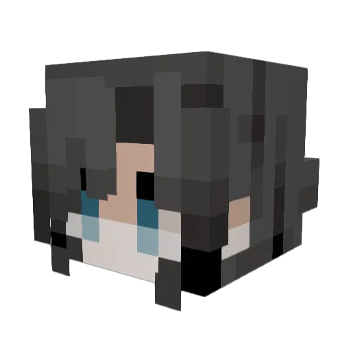 Flutter956 Minecraft avatar head, 3D render